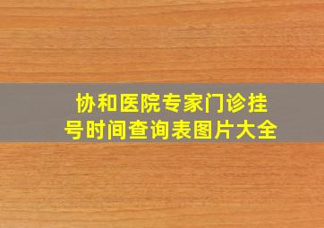 协和医院专家门诊挂号时间查询表图片大全