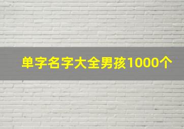 单字名字大全男孩1000个