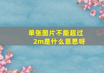 单张图片不能超过2m是什么意思呀