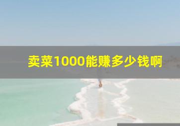 卖菜1000能赚多少钱啊