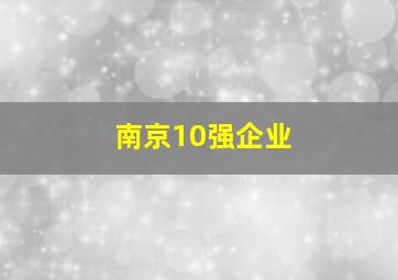 南京10强企业