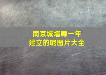 南京城墙哪一年建立的呢图片大全