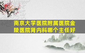 南京大学医院附属医院金陵医院肾内科哪个主任好