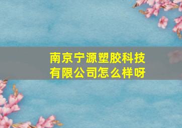 南京宁源塑胶科技有限公司怎么样呀