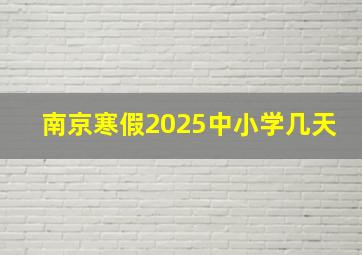 南京寒假2025中小学几天