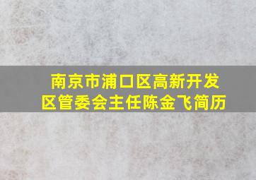 南京市浦口区高新开发区管委会主任陈金飞简历