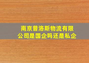 南京普洛斯物流有限公司是国企吗还是私企