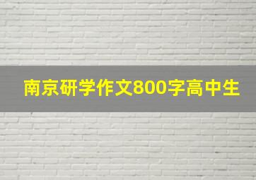 南京研学作文800字高中生