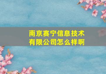 南京赛宁信息技术有限公司怎么样啊