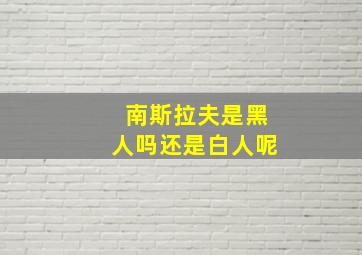 南斯拉夫是黑人吗还是白人呢