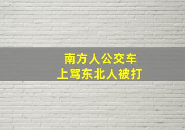 南方人公交车上骂东北人被打