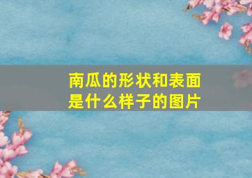 南瓜的形状和表面是什么样子的图片