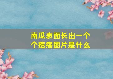 南瓜表面长出一个个疙瘩图片是什么