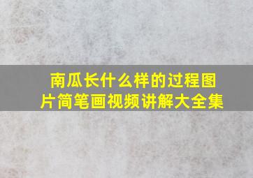 南瓜长什么样的过程图片简笔画视频讲解大全集