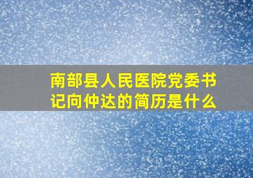 南部县人民医院党委书记向仲达的简历是什么