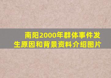 南阳2000年群体事件发生原因和背景资料介绍图片