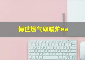 博世燃气取暖炉ea