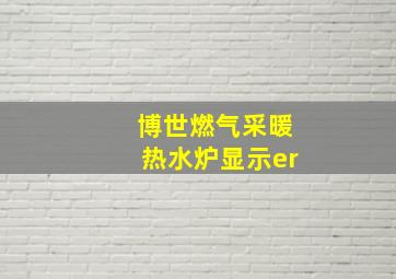 博世燃气采暖热水炉显示er