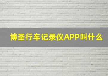 博圣行车记录仪APP叫什么