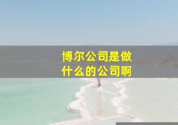 博尔公司是做什么的公司啊