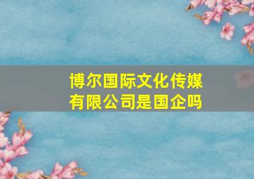 博尔国际文化传媒有限公司是国企吗