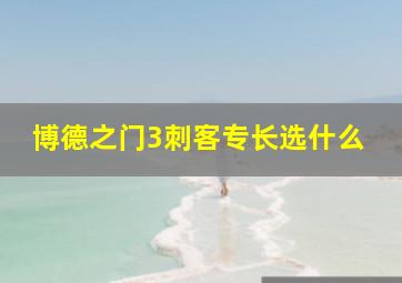 博德之门3刺客专长选什么