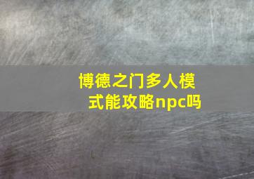 博德之门多人模式能攻略npc吗