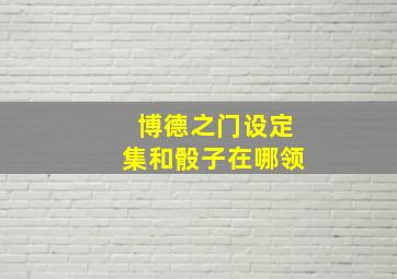 博德之门设定集和骰子在哪领