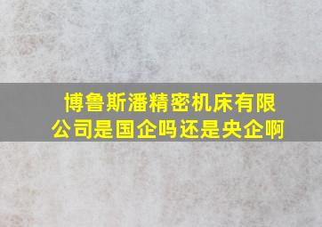 博鲁斯潘精密机床有限公司是国企吗还是央企啊