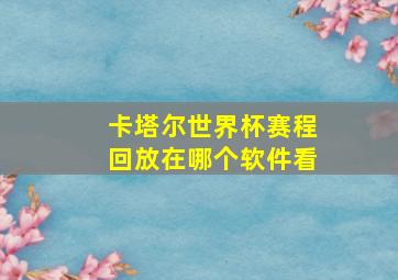 卡塔尔世界杯赛程回放在哪个软件看