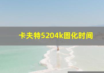 卡夫特5204k固化时间