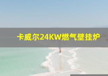 卡威尔24KW燃气壁挂炉