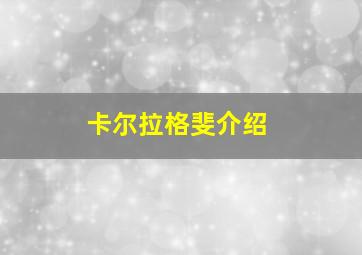 卡尔拉格斐介绍