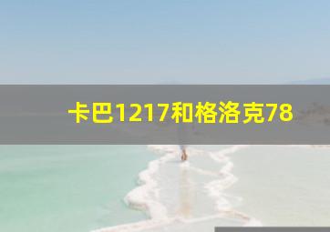 卡巴1217和格洛克78