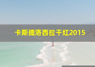 卡斯提洛西拉干红2015