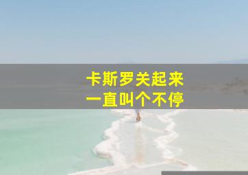 卡斯罗关起来一直叫个不停