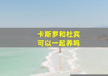 卡斯罗和杜宾可以一起养吗