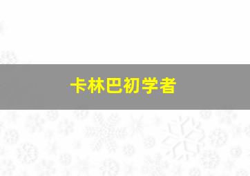 卡林巴初学者