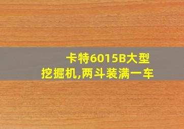 卡特6015B大型挖掘机,两斗装满一车