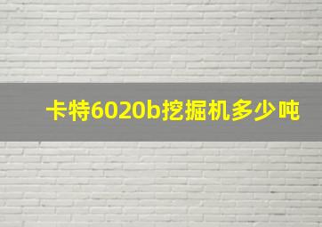 卡特6020b挖掘机多少吨