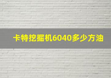 卡特挖掘机6040多少方油