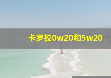 卡罗拉0w20和5w20