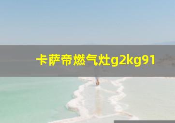 卡萨帝燃气灶g2kg91