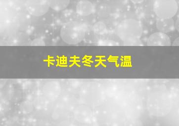 卡迪夫冬天气温