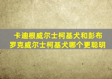 卡迪根威尔士柯基犬和彭布罗克威尔士柯基犬哪个更聪明