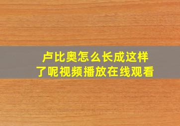 卢比奥怎么长成这样了呢视频播放在线观看