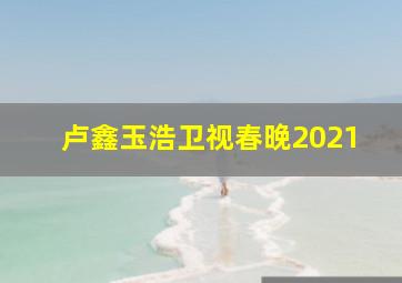 卢鑫玉浩卫视春晚2021