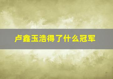 卢鑫玉浩得了什么冠军