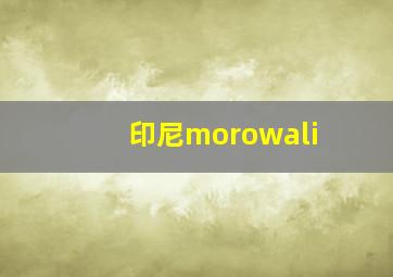 印尼morowali