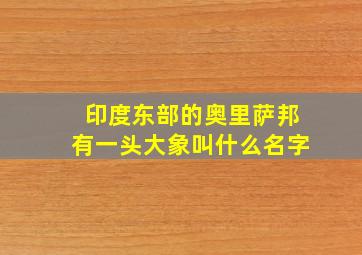 印度东部的奥里萨邦有一头大象叫什么名字